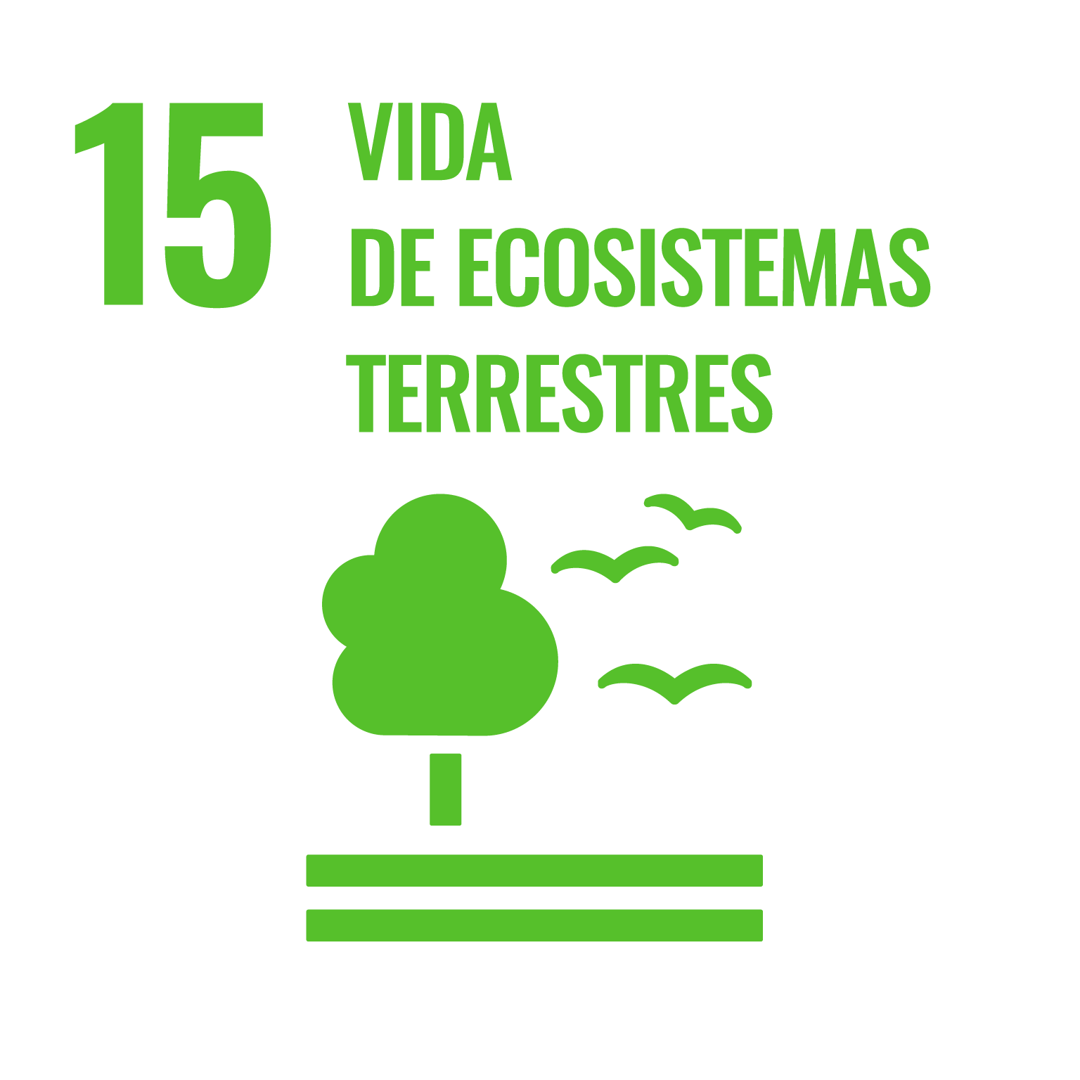 ODS 15: Vida de ecosistemas terrestres